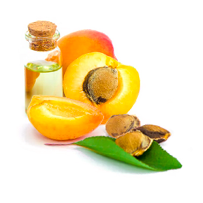 OLIVE SPA tělové máslo se spirulinou 6